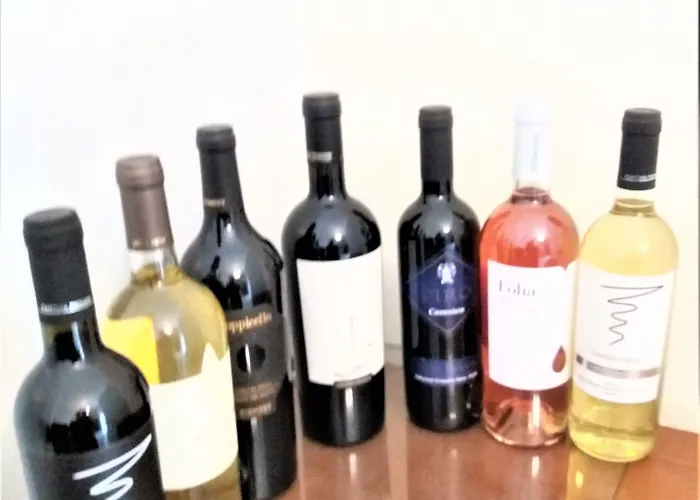 Domus Al Corso Bed & Breakfast 4*